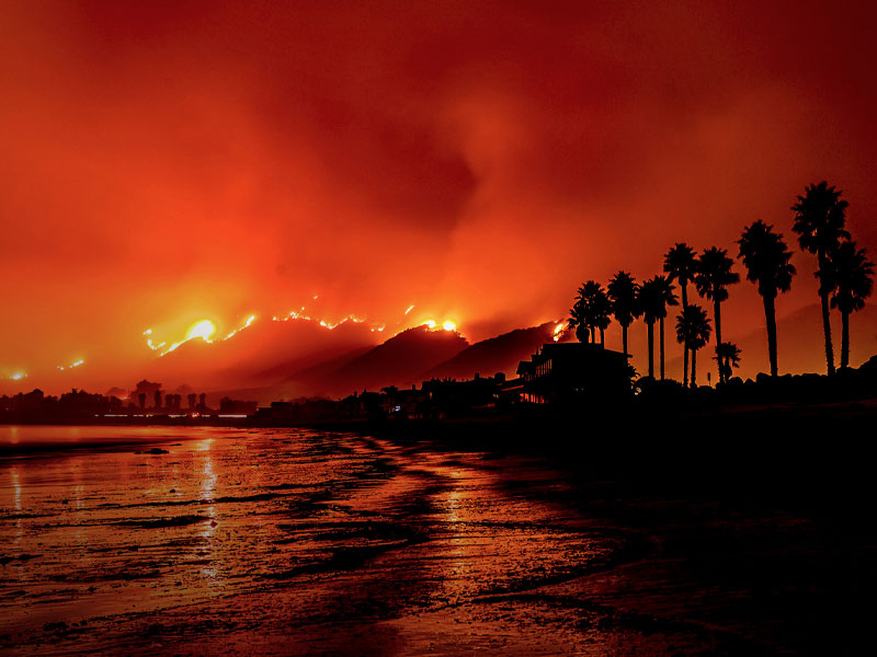 Silhouetted palm trees along a coastline with a wildfire lighting the hills and a fiery red sky.