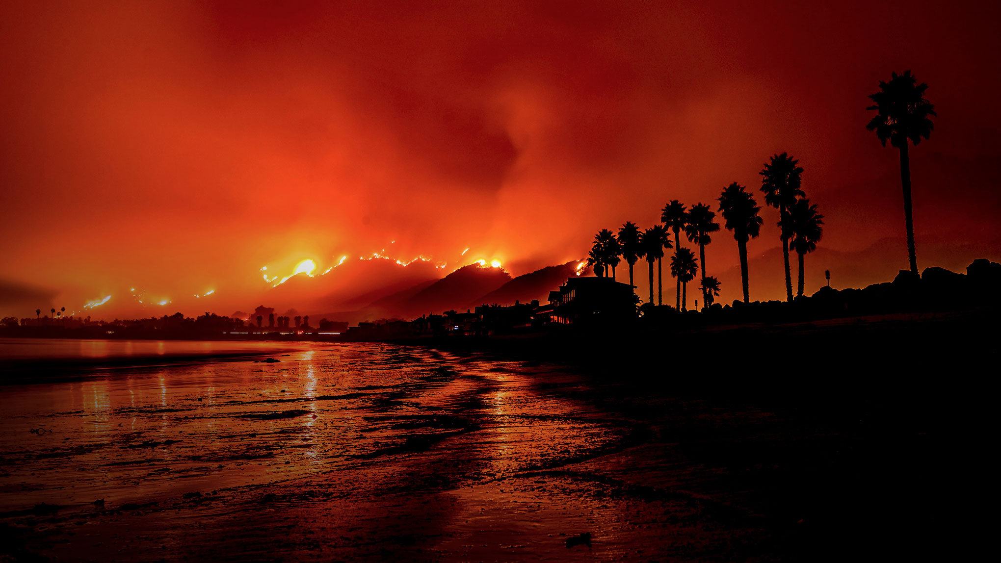 Silhouetted palm trees along a coastline as a wildfire rages on the hills with bright flames and orange smoke in the sky.